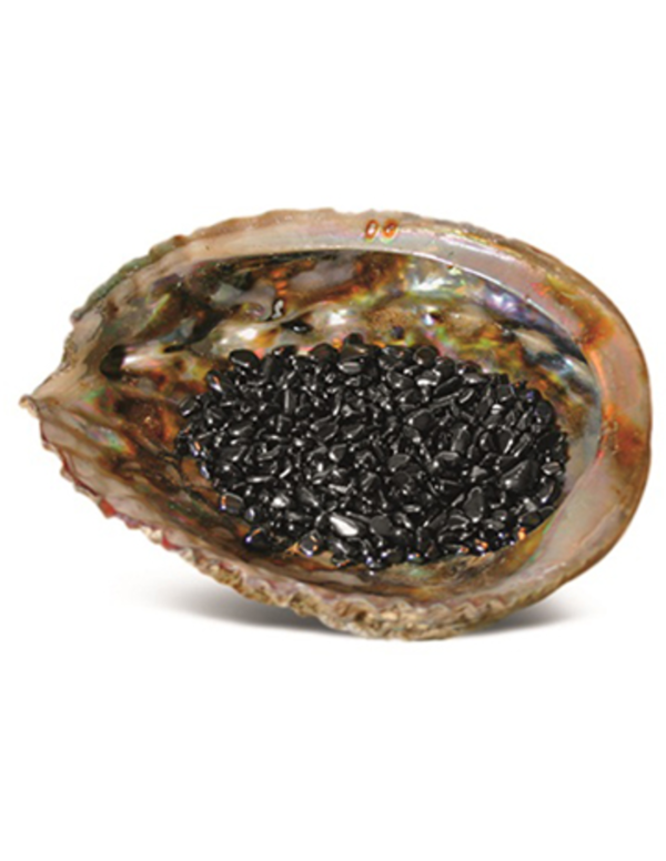 abalone ontlaatdschelp hematiet